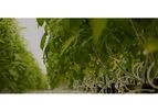 Hortiplan - Irrigation System