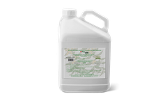 McLaughlin - Model Debug ON - Concentrate