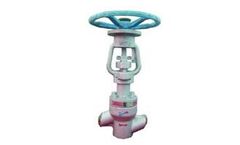 Zhuzhou - Quick-Repair Double Sealing Globe Valve