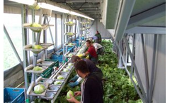 BrimaPack - Model Columbia - Harvesting Header System