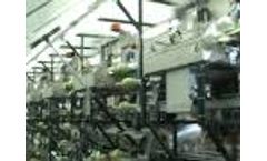 VePack 200 P rig version (2) Video