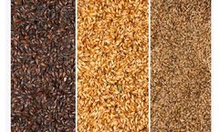 Solutions for Breweries