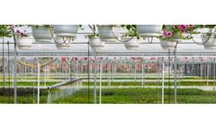 Commercial Irrigation Design Service