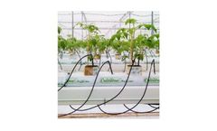 Horticulture Services