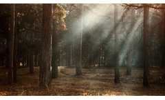 Solutions for Environmental