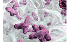 Tolsa ADINS - Model Protection Series - Viricidal Additives