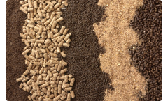 Tolsa - Mycotoxin Binders