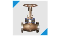 Flotek - Globe Valve