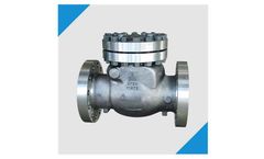 Flotek - Check Valve