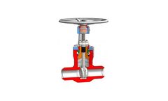 Model S43 - High Pressure Gate Valve