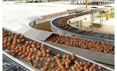 Alaso - Egg Conveyor