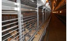 Alaso - Model PS240 - Pullet Stacked System