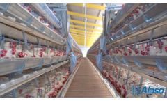 Traveling Hopper Feeding System  - Video