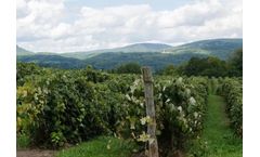 Poly Processing - Wine Storage Tanks (C2H6O)