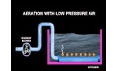 Aeration (for hydroponics, fish farming and aquaculture)  Video