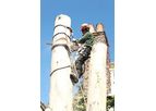 Tree Felling