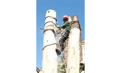 Tree Felling