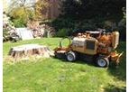 Tree Stump Removal