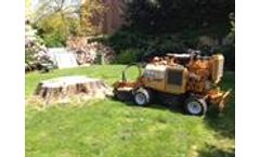 Tree Stump Removal