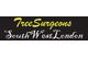 Tree Surgeons South West London