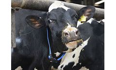Locating and Tracking Solutions for Agriculture