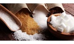 Industrial Screens for Sugar Industry