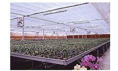 Kunyu - Internal Layer Light Shading Mesh