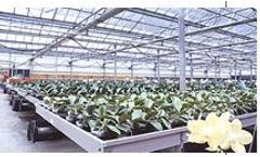 Kunyu - Planting Bed