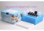 REAGEN - Model RNS92002	 - e coli o157 h7 Test Strips kit