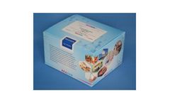 Gentamicin (GM) ELISA Test Services