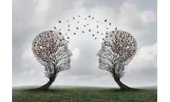 dnEnviro - Consultancy Services