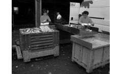 OWS - Sorting analysis Services