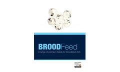 BroodFeed - Premium Feed - Brochure