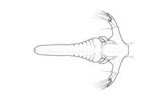 Enrico - Enrichment for Artemia And Rotifers