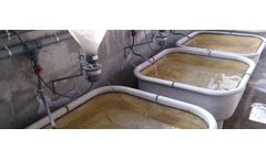 Sparos Fit - Feeding Tables Software for Fish Farm and Aquafeeds