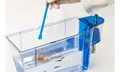 Sparos - Zebrafish Nutritious Microdiet Feed