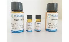 Native Canine Superoxide Dismutase