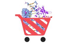 Creative Enzymes Upgrades Multiple Diagnostic Enzyme Products for Clinical and Diagnostic Research