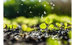 Creative Enzymes Elevates Your Industrial Processes with Enzymes for Industrial Use