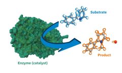 Enzyme Applications: Unleashing the Power of Biocatalysts
