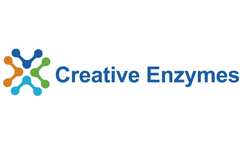 Enzyme Engineering and Modification Technology Pioneers a Sustainable Future Across Industries 