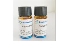 Creative Enzymes - Model CZY-030 - Bovine Plasminogen