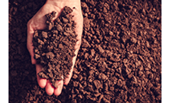 Creative - Model AGT-2911 - Soil Nutrient Enzyme