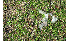 Creative - Model AGT-2912 - Enzyme Blend for Solid Waste to Produce Compost