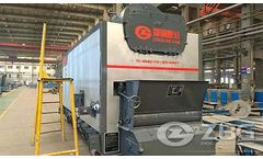 Model DZL - Packaged Biomass Steam Boiler