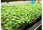 CETS - Superior Technology for Seed Potato Production