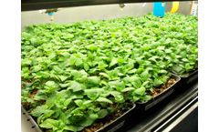 CETS - Superior Technology for Seed Potato Production
