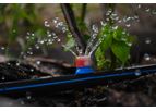 Serdrip - Drip Irrigation System