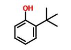 Model CAS 88-18-6 - Ortho Tertiary Butyl Phenol (OTBP)