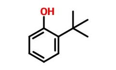 Model CAS 88-18-6 - Ortho Tertiary Butyl Phenol (OTBP)